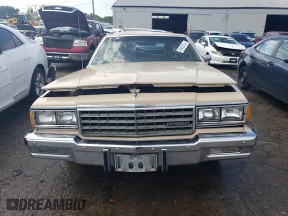 1982 Chevrolet Caprice с VIN 2G1AN35HXC1237392, выставлен на аукционе Copart как лот 69453243 с пробегом 31 492 миль миль и Списание • Salvage title. История ставок и продаж доступна на DreamBid. Изображение 5.
