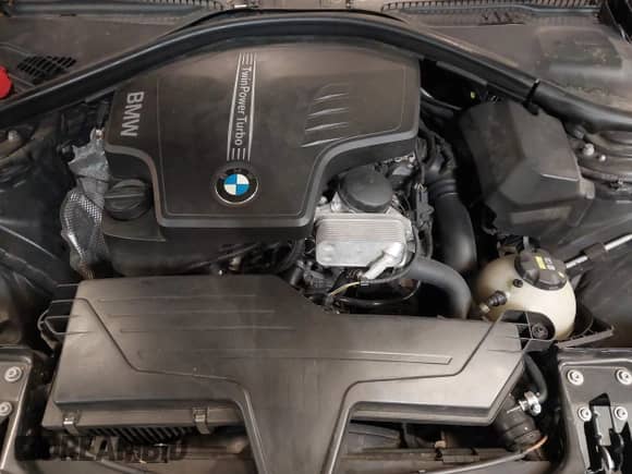 2015 BMW 4 Series 428i с VIN WBA3N3C59FK234025, выставлен на аукционе IAAI как лот 42301785 с пробегом 66 729 миль миль и . История ставок и продаж доступна на DreamBid. Изображение 10.