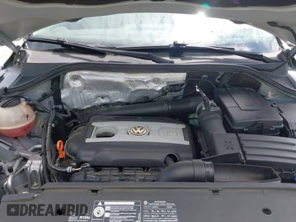 2009 Volkswagen Tiguan S с VIN WVGAV75N19W508048, выставлен на аукционе IAAI как лот 42754273 с пробегом 84 535 миль миль и . История ставок и продаж доступна на DreamBid. Изображение 10.