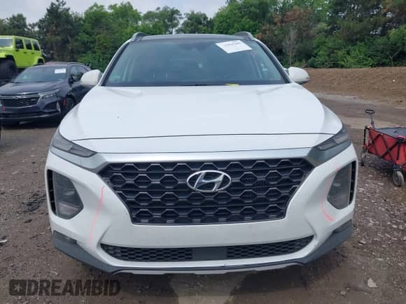 2020 Hyundai Santa Fe SEL with VIN 5NMS3CAA9LH167924, listed as a IAAI auction lot 42394309 with 66,160 mi miles and . Bid and sale history available at DreamBid. Image 13.