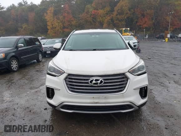 2017 Hyundai Santa Fe SE with VIN KM8SM4HF3HU182998, listed as a IAAI auction lot 43434656 with 115,094 mi miles and . Bid and sale history available at DreamBid. Image 12.