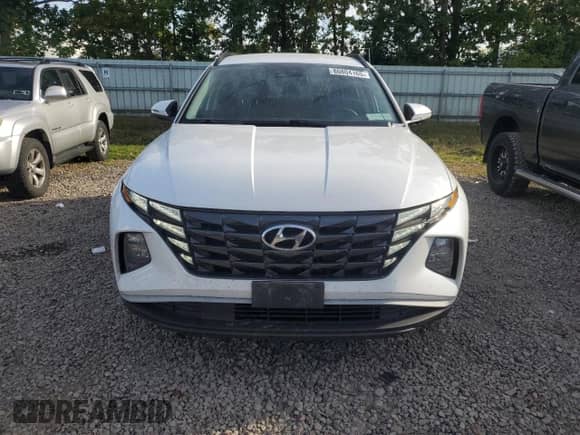 2022 Hyundai Tucson Blue with VIN KM8JBCA11NU066804, listed as a Copart auction lot 80804165 with 80,081 mi miles and Salvage title. Bid and sale history available at DreamBid. Image 5.