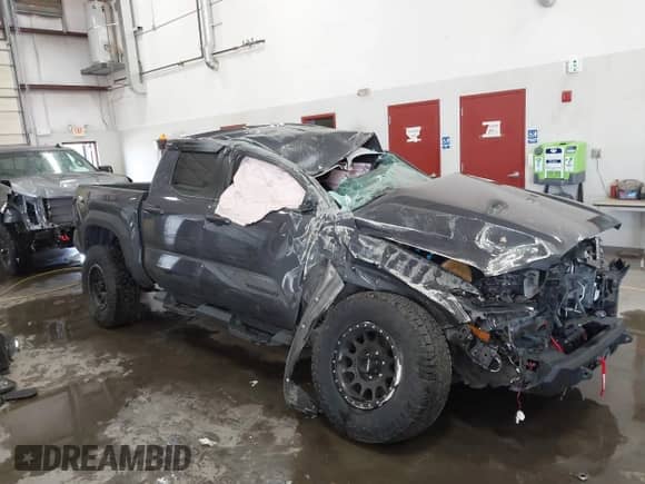 2024 Toyota Tacoma SR5 with VIN 3TMLB5JN9RM034074, listed as a IAAI auction lot 43293871 with Not provided miles and . Bid and sale history available at DreamBid. Image 1.
