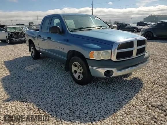 2003 Dodge 1500 ST with VIN 1D7HA18KX3J667271, listed as a Copart auction lot 46507385 with 262,292 mi miles and Salvage title. Bid and sale history available at DreamBid. Image 10.