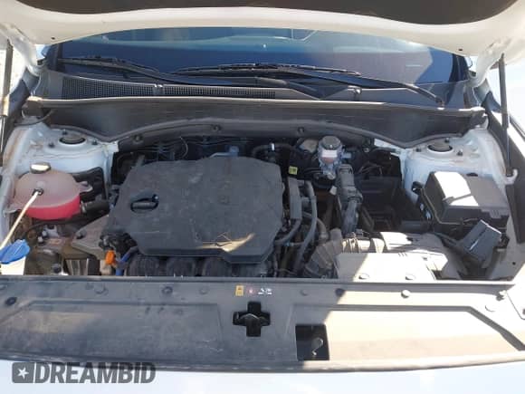 2022 Hyundai Santa Fe XRT с VIN 5NMS6DAJ8NH404970, выставлен на аукционе IAAI как лот 40688492 с пробегом 21 941 миль миль и . История ставок и продаж доступна на DreamBid. Изображение 10.