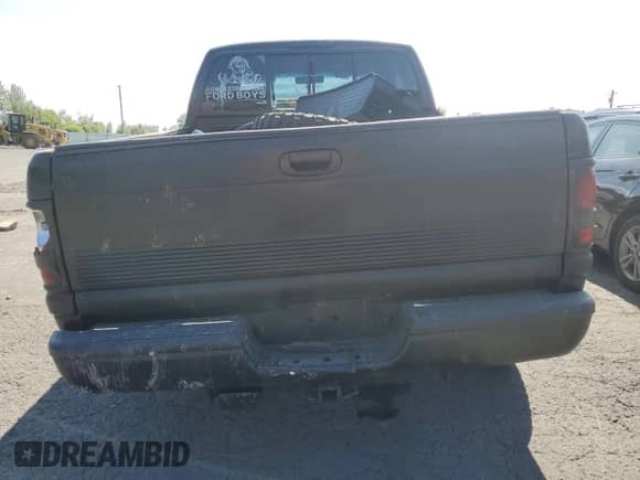 1996 Dodge 1500 with VIN 3B7HF13Z5TG193442, listed as a Copart auction lot 61640935 with 250,587 mi miles and Salvage title. Bid and sale history available at DreamBid. Image 6.