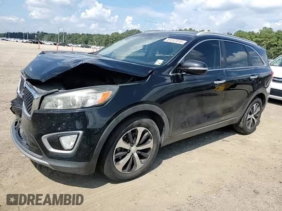 2017 Kia Sorento EX with VIN 5XYPH4A12HG332159, listed as a Copart auction lot 81247015 with 107,491 mi miles and Salvage title. Bid and sale history available at DreamBid. Image 13.