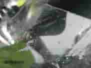 2015 Nissan Rogue SL с VIN 5N1AT2MV1FC800886, выставлен на аукционе IAAI как лот 43287248 с пробегом 29 868 миль миль и . История ставок и продаж доступна на DreamBid. Изображение 13.