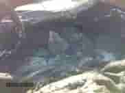 2020 Kia Sorento EX with VIN 5XYPH4A53LG703244, listed as a IAAI auction lot 42934089 with Not provided miles and . Bid and sale history available at DreamBid. Image 14.