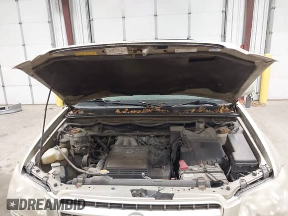 2003 Toyota Highlander с VIN JTEHF21A030121955, выставлен на аукционе IAAI как лот 43344952 с пробегом 205 905 миль миль и . История ставок и продаж доступна на DreamBid. Изображение 10.