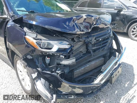 2020 Chevrolet Equinox LS with VIN 3GNAXSEV1LS569427, listed as a IAAI auction lot 43071250 with 60,933 mi miles and . Bid and sale history available at DreamBid. Image 6.