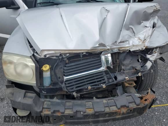 2005 Dodge Dakota SLT with VIN 1D7HW42K75S199007, listed as a Copart auction lot 62878585 with Not provided miles and Salvage title. Bid and sale history available at DreamBid. Image 11.