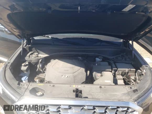 2020 Hyundai Palisade SEL с VIN KM8R2DHE2LU099180, выставлен на аукционе Copart как лот 60981122 с пробегом 17 033 миль миль и . История ставок и продаж доступна на DreamBid. Изображение 7.