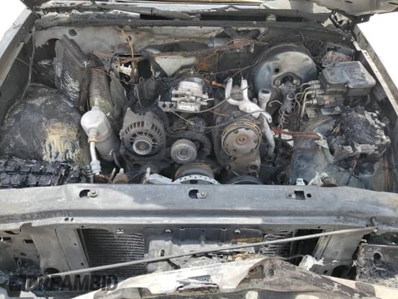 1999 Chevrolet S-10 z VIN 1GCCS14X5X8134471, wystawiony jako Copart lot #67429515 z przebiegiem Nie podano mil oraz Szkoda całkowita • Salvage title. Historia ofert i sprzedaży dostępna na DreamBid. Obrazek 11.