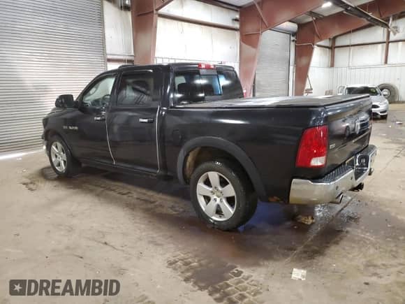 2010 Dodge 1500 Laramie with VIN 1D7RV1CT3AS232222, listed as a Copart auction lot 85004335 with 216,600 mi miles and Clean title. Bid and sale history available at DreamBid. Image 2.
