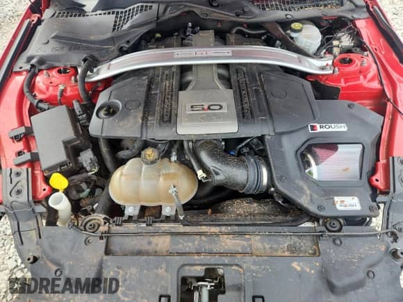 2019 Ford Mustang GT z VIN 1FA6P8CF0K5156927, wystawiony jako Copart lot #84562345 z przebiegiem Nie podano mil oraz Nie do naprawy • Non repairable. Historia ofert i sprzedaży dostępna na DreamBid. Obrazek 11.