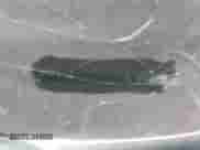 2025 Chevrolet Malibu LS z VIN 1G1ZC5ST4SF120931, wystawiony jako Copart lot #51320715 z przebiegiem Nie podano mil oraz Czysty tytuł • Clean title. Historia ofert i sprzedaży dostępna na DreamBid. Obrazek 12.