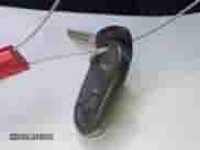 2000 Honda Accord EX с VIN 1HGCG2259YA022972, выставлен на аукционе IAAI как лот 42869229 с пробегом 442 516 миль миль и . История ставок и продаж доступна на DreamBid. Изображение 11.