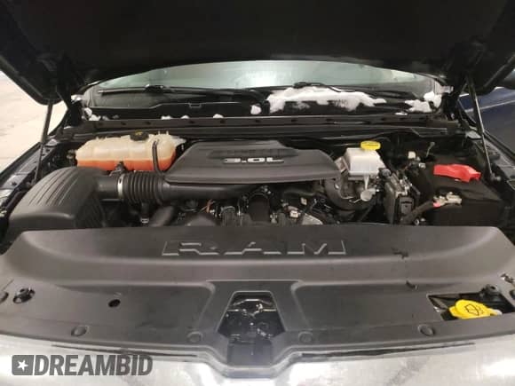 2020 Ram 1500 Longhorn with VIN 1C6SRFKM1LN361057, listed as a Copart auction lot 88070815 with 132,754 mi miles and Salvage title. Bid and sale history available at DreamBid. Image 11.