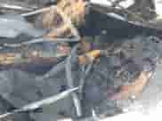 2011 BMW 7 Series 750Li z VIN WBAKB8C55BCY66669, wystawiony jako IAAI lot #42634989 z przebiegiem Nie podano mil oraz . Historia ofert i sprzedaży dostępna na DreamBid. Obrazek 12.