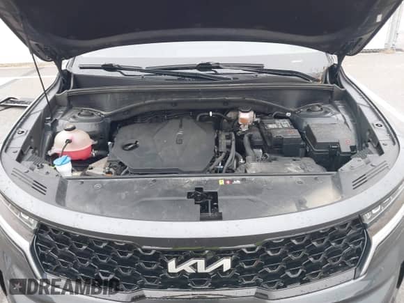 2022 Kia Sorento S with VIN 5XYRL4LC6NG161787, listed as a IAAI auction lot 43299043 with 64,817 mi miles and . Bid and sale history available at DreamBid. Image 10.