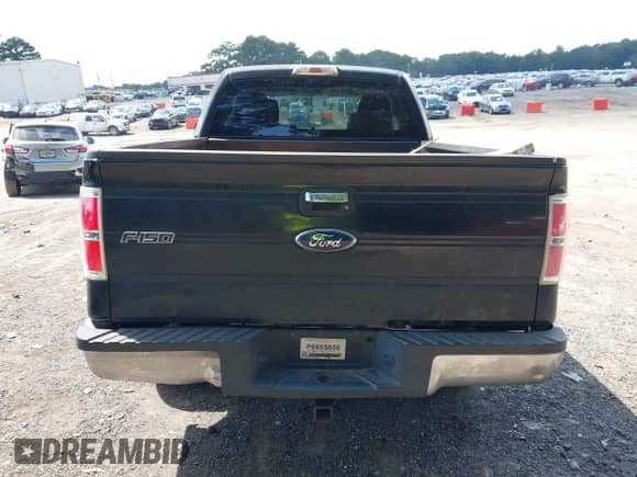 2010 Ford F-150 XL with VIN 1FTEX1C80AKE49905, listed as a IAAI auction lot 43115523 with 203,656 mi miles and . Bid and sale history available at DreamBid. Image 16.