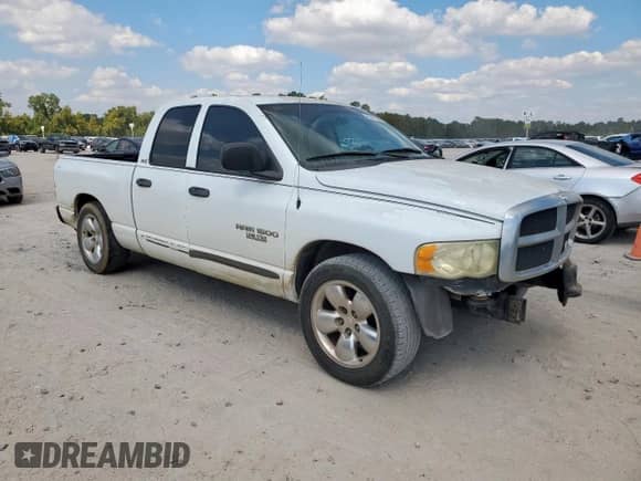 2002 Dodge 1500 z VIN 1D7HA18N62S608446, wystawiony jako Copart lot #85928505 z przebiegiem 301 526 mil mil oraz Szkoda całkowita • Salvage title. Historia ofert i sprzedaży dostępna na DreamBid. Obrazek 4.
