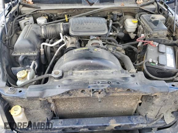 2005 Dodge Dakota ST with VIN 1D7HE22K35S258691, listed as a Copart auction lot 86499305 with 231,127 mi miles and Salvage title. Bid and sale history available at DreamBid. Image 11.