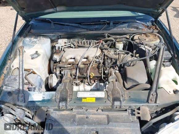 1999 Chevrolet Lumina LS с VIN 2G1WL52M6X9165221, выставлен на аукционе IAAI как лот 42900176 с пробегом 149 793 миль миль и . История ставок и продаж доступна на DreamBid. Изображение 10.