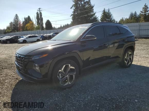 2024 Hyundai Tucson Limited with VIN KM8JECD14RU220480, listed as a Copart auction lot 83994395 with 39,393 mi miles and Salvage title. Bid and sale history available at DreamBid. Image 1.