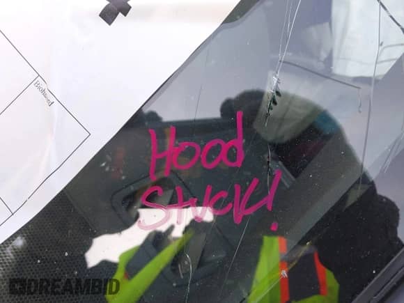 2020 Subaru WRX STI with VIN JF1VA2E6XL9804064, listed as a IAAI auction lot 41655444 with Not provided miles and . Bid and sale history available at DreamBid. Image 10.