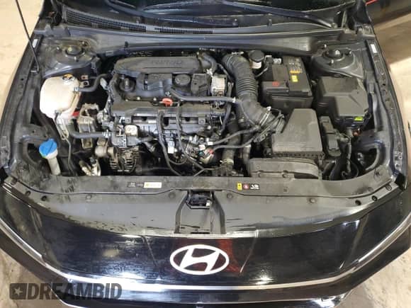 2024 Hyundai Elantra N Line z VIN KMHLR4DF4RU736918, wystawiony jako Copart lot #68300145 z przebiegiem 20 915 mil mil oraz Szkoda całkowita • Salvage title. Historia ofert i sprzedaży dostępna na DreamBid. Obrazek 11.