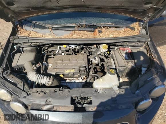 2014 Chevrolet Sonic RS с VIN 1G1JG5SB9E4175450, выставлен на аукционе Copart как лот 49291965 с пробегом 115 063 миль миль и Чистый • Clean title. История ставок и продаж доступна на DreamBid. Изображение 11.