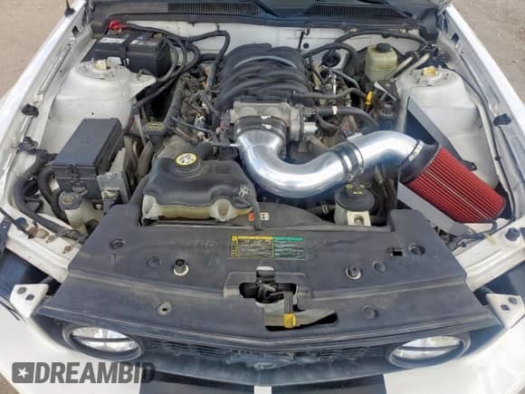 2005 Ford Mustang GT Deluxe z VIN 1ZVHT85H255211280, wystawiony jako Copart lot #69271235 z przebiegiem 109 841 mil mil oraz Czysty tytuł • Clean title. Historia ofert i sprzedaży dostępna na DreamBid. Obrazek 11.