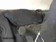 2013 Ford F-150 XL with VIN 1FTFW1ET0DFA19250, listed as a IAAI auction lot 42192548 with Not provided miles and . Bid and sale history available at DreamBid. Image 7.