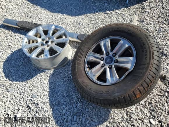 2014 Ford F-150 XL with VIN 1FTFX1EF6EKF17727, listed as a Copart auction lot 84463195 with 154,558 mi miles and Salvage title. Bid and sale history available at DreamBid. Image 12.