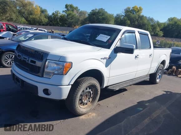 2009 Ford F-150 XL with VIN 1FTPW14V29KC89151, listed as a IAAI auction lot 43335706 with 163,176 mi miles and . Bid and sale history available at DreamBid. Image 17.