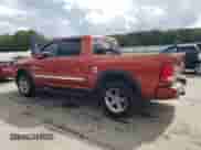 2009 Dodge 1500 SLT with VIN 1D3HV13T09S781739, listed as a Copart auction lot 85117765 with 307,111 mi miles and Salvage title. Bid and sale history available at DreamBid. Image 2.