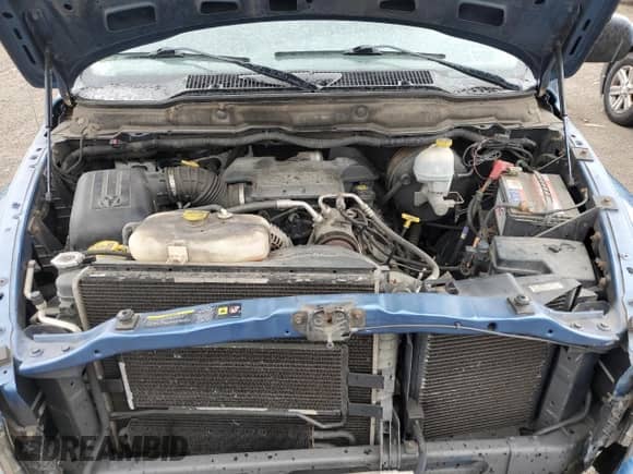 2004 Dodge 1500 SLT z VIN 1D7HA16D44J137996, wystawiony jako Copart lot #57162335 z przebiegiem 100 944 mil mil oraz Czysty tytuł • Clean title. Historia ofert i sprzedaży dostępna na DreamBid. Obrazek 11.