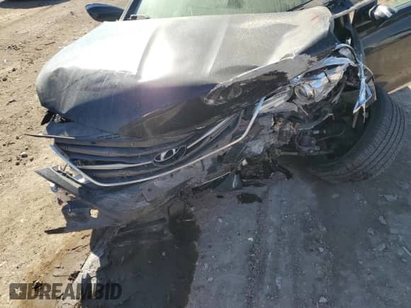 2017 Hyundai Azera Limited with VIN KMHFH4JG9HA581134, listed as a Copart auction lot 49957615 with Not provided miles and Salvage title. Bid and sale history available at DreamBid. Image 11.