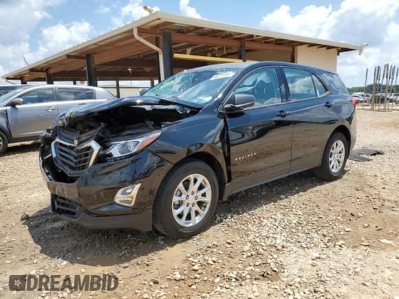 2019 Chevrolet Equinox LS z VIN 2GNAXSEV1K6122352, wystawiony jako Copart lot #66079155 z przebiegiem 126 453 mil mil oraz Szkoda całkowita • Salvage title. Historia ofert i sprzedaży dostępna na DreamBid. Obrazek 1.