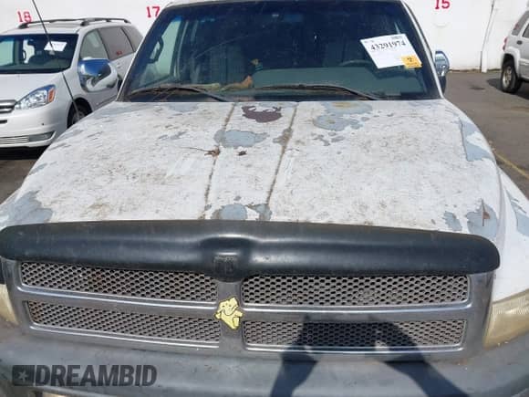 1997 Dodge 1500 with VIN 1B7HF13Y0VJ626660, listed as a IAAI auction lot 43291974 with 197,586 mi miles and . Bid and sale history available at DreamBid. Image 10.