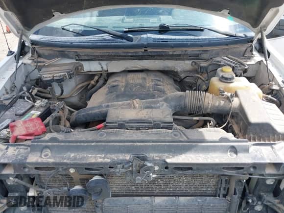 2014 Ford F-150 XL with VIN 1FTFW1ET1EFB69109, listed as a IAAI auction lot 42788509 with 263,013 mi miles and . Bid and sale history available at DreamBid. Image 10.