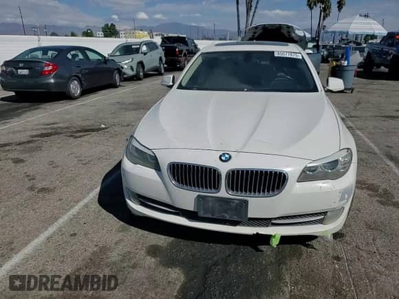 2011 BMW 5 Series 528i with VIN WBAFR1C54BDS35099, listed as a Copart auction lot 85577875 with 202,742 mi miles and Salvage title. Bid and sale history available at DreamBid. Image 13.