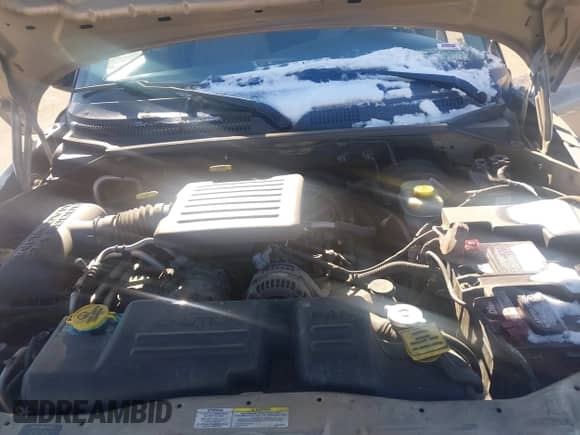 2002 Dodge Durango SLT with VIN 1B4HS48N12F160504, listed as a IAAI auction lot 41304610 with 179,724 mi miles and . Bid and sale history available at DreamBid. Image 10.