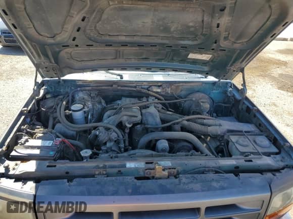 1995 Ford F-150 with VIN 1FTEF15Y1SLC03960, listed as a Copart auction lot 85732785 with 138,471 mi miles and Clean title. Bid and sale history available at DreamBid. Image 11.