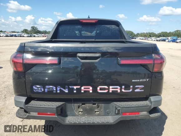 2022 Hyundai Santa Cruz SEL Premium with VIN 5NTJDDAF8NH024612, listed as a Copart auction lot 73877034 with 78,925 mi miles and Salvage title. Bid and sale history available at DreamBid. Image 6.