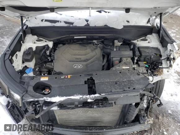2023 Hyundai Palisade SEL с VIN KM8R4DGE3PU582498, выставлен на аукционе Copart как лот 44681265 с пробегом 31 282 миль миль и Списание • Salvage title. История ставок и продаж доступна на DreamBid. Изображение 13.