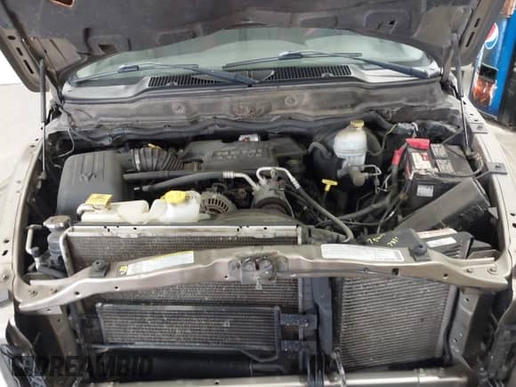 2008 Dodge 1500 SLT with VIN 1D7HA18298J219126, listed as a IAAI auction lot 42856765 with 189,912 mi miles and . Bid and sale history available at DreamBid. Image 10.