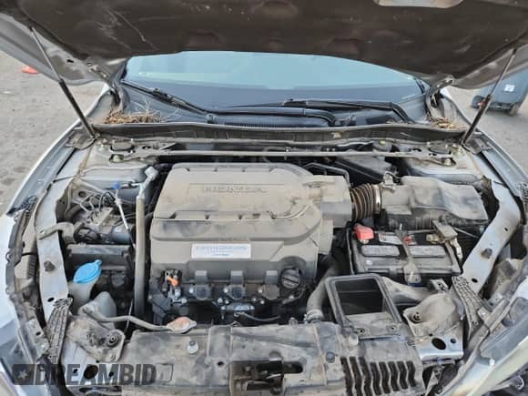 2016 Honda Accord EX-L with VIN 1HGCR3F05GA011965, listed as a Copart auction lot 80698275 with 20,462 mi miles and Salvage title. Bid and sale history available at DreamBid. Image 11.